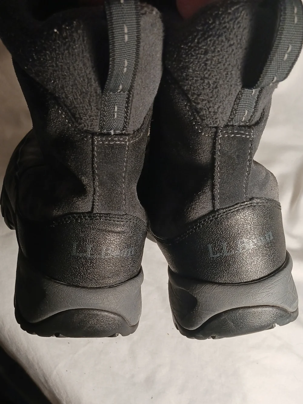 L.L. Bean 8